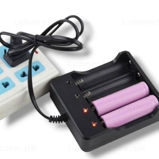 18650 Li-ion Battery Dual Slot Charger with batteries and power strip
