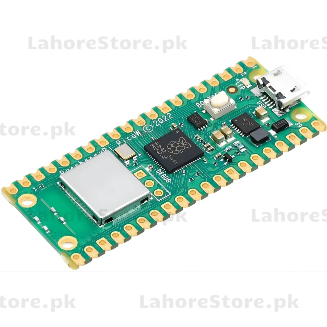 Raspberry Pi Pico / Pico W